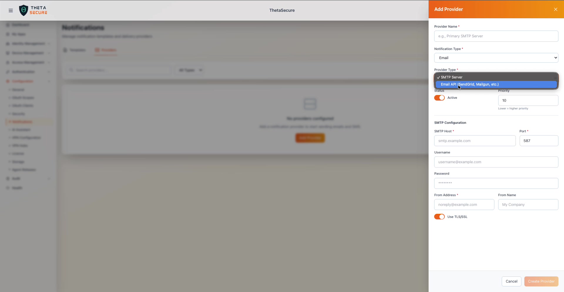 Provider Type dropdown showing SMTP Server and Email API options